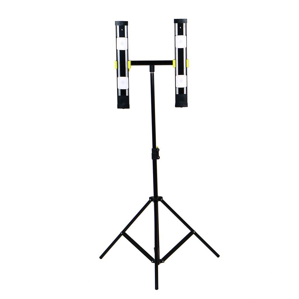 Dual Standing Light