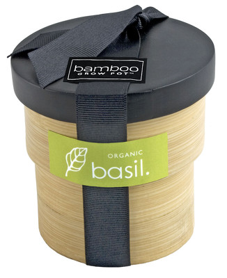 Organic Basil Bamboo Grow Pot