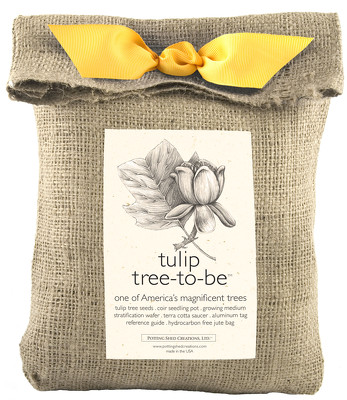 Tree To Be Tulip Tree Kit